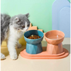 KUTKUT Ceramic Anti Vomiting Elevated Bowl for Cats & Small Dogs (Green) Both-Bowls & Feeders KUTKUT Dropship
