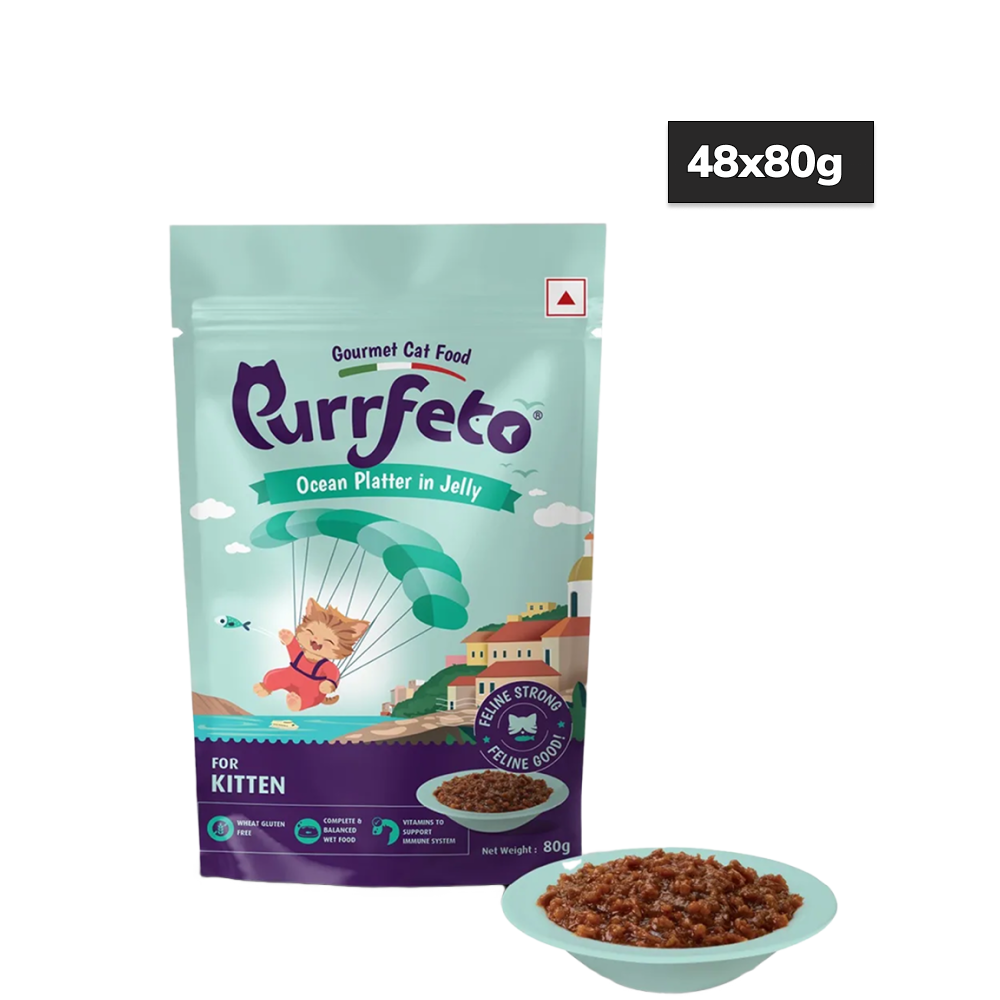 Purrfeto Oceanfish Recipe in Jelly Kitten Cat Wet Food Cats-Wet Food Purrfeto 48x80g