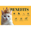 IndieCat Royal Trial Pack Adult Cat Wet Food Cats-Wet Food IndieCat