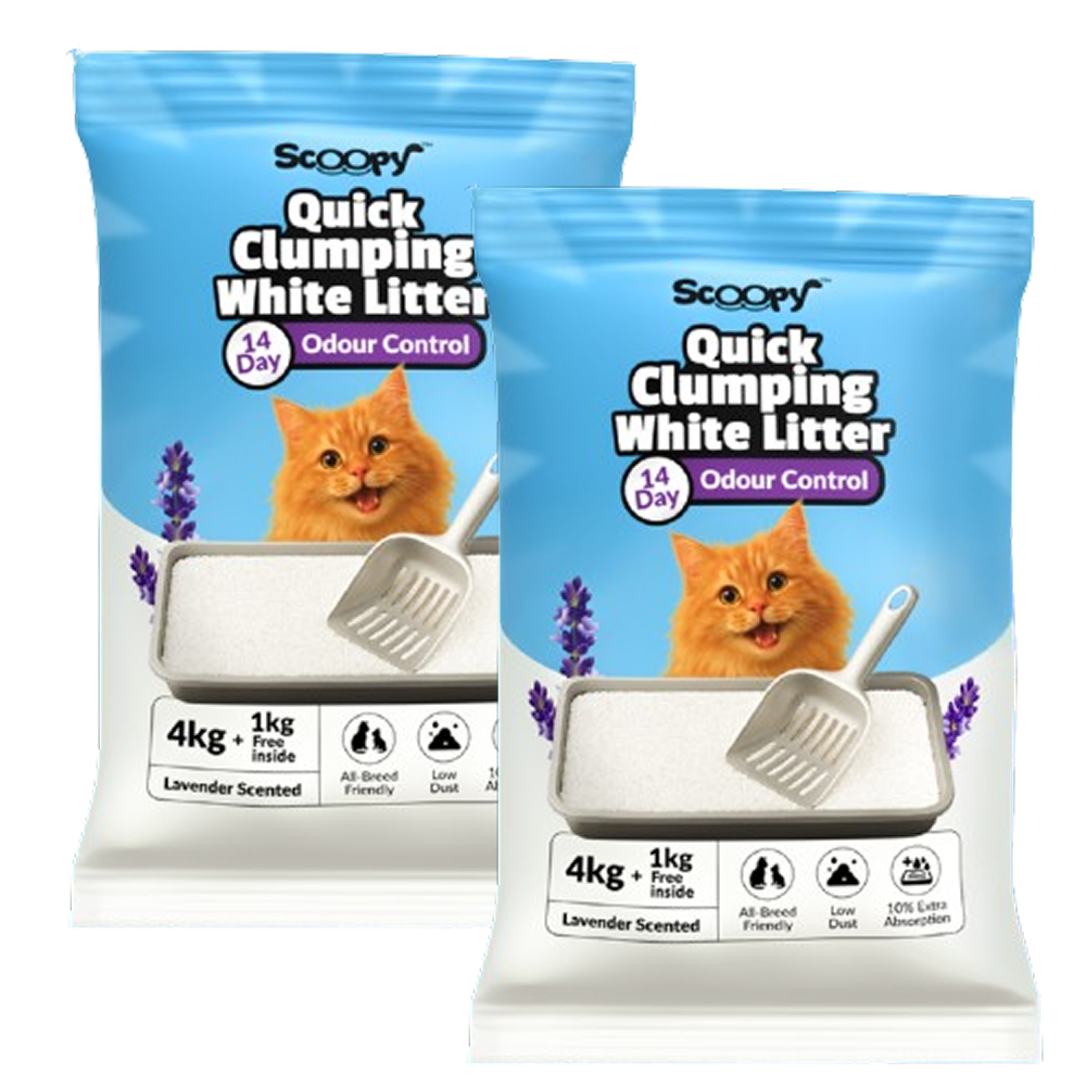Scoopy Cat Litter | Lavender Scented | Quick Clumping | 100% Natural Bentonite White Sand (Buy 1 Get 1) Cats-Litter Scoopy 5kg+5kg