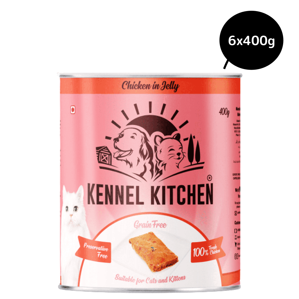Kennel Kitchen Chicken in Jelly (Can) Wet Cat Food