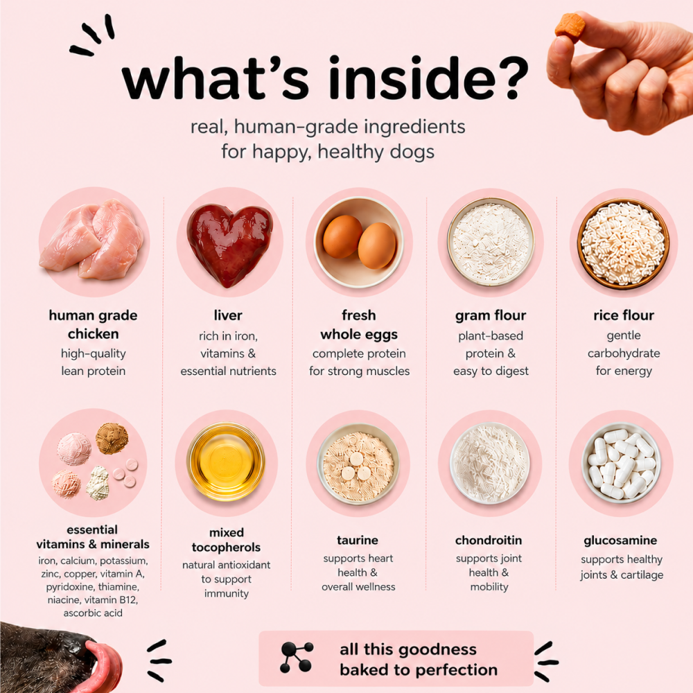 Henlo Baked Chicken & Liver Adult and Puppy Dog Dry Food | 100% human grade ingredients Dogs- Dry Food Henlo