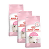 Royal Canin Kitten Cat Dry Food Cats- Dry food Royal Canin 6kg (3x2kg)