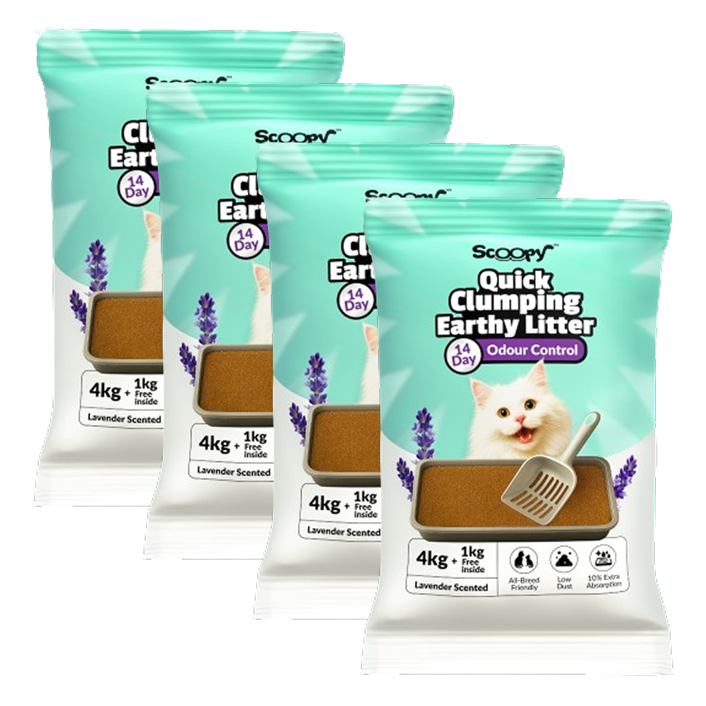 Scoopy Cat Litter | Lavender Scented | 100% Natural Indian Brown Sand Cats-Litter Scoopy 4x5kg
