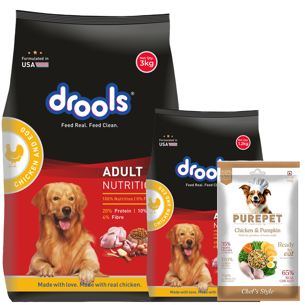 Drools Chicken and Egg Adult Dog Dry Food