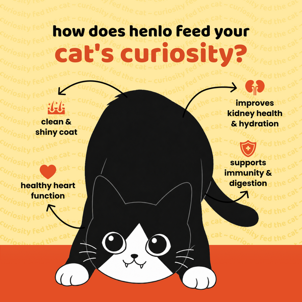 Henlo Chicken in Gravy with Turmeric Adult Cat Wet Food | 100% Human Grade Ingredients