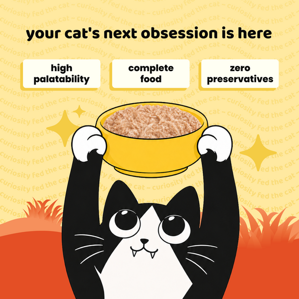 Henlo Chicken in Gravy with Turmeric Adult Cat Wet Food | 100% Human Grade Ingredients