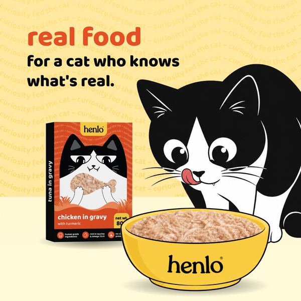Henlo Chicken in Gravy with Turmeric Adult Cat Wet Food | 100% Human Grade Ingredients