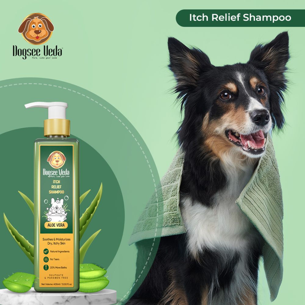 M Pets Arco Ball Toy, DOGZ & DUDEZ Natural Neem Shield Tick & Flea Repellent and Dogsee Veda ITCH RELIEF Aloe Vera Shampoo for Dogs Combo