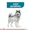 Royal Canin Maxi Jointcare Dog Dry Food Dogs- Dry Food Royal Canin