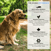 Acana Adult Large Breed Dog Dry Food Dogs- Dry Food Acana