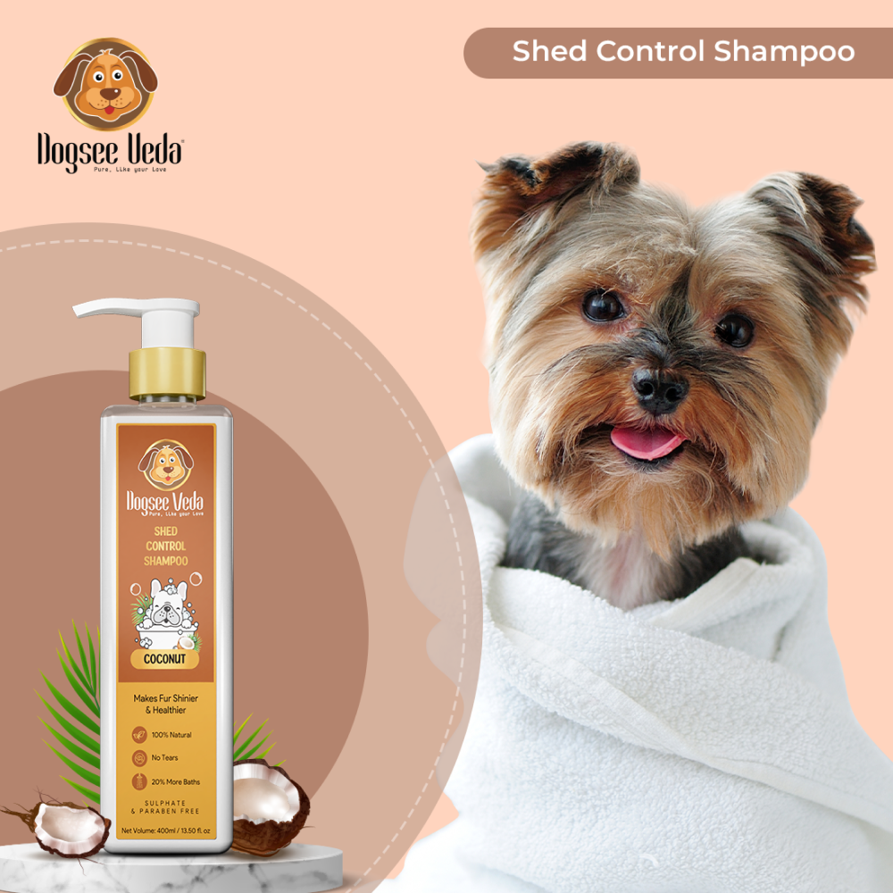 Goofy Tails Hard Squeaky Rubber Ball Toy and Dogsee Veda Shed Control Coconut Oil Shampoo for Dogs Combo