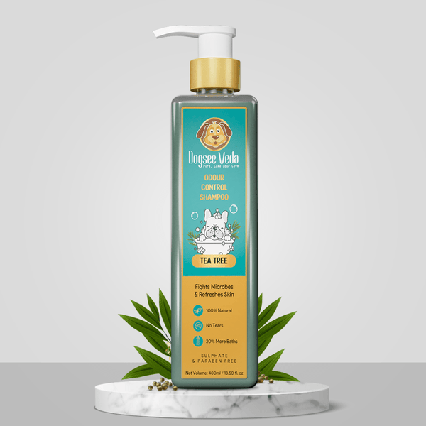 Basil Printed Leash , Aeolus Super Dry Absorption Towels and Dogsee Veda Odour Control Tea Tree Shampoo for Dogs Combo