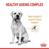 Royal Canin Labrador Adult 5+ Dog Dry Food Dogs- Dry Food Royal Canin