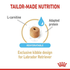 Royal Canin Labrador Adult 5+ Dog Dry Food Dogs- Dry Food Royal Canin
