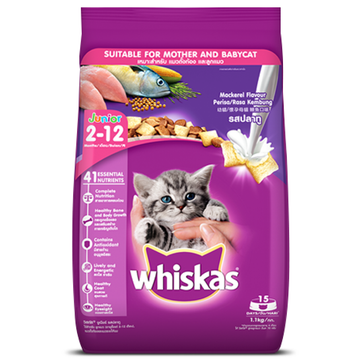 Whiskas Ocean Fish and  Mackerel Flavour Kitten Cat (2 to 12 months) Dry Food Combo