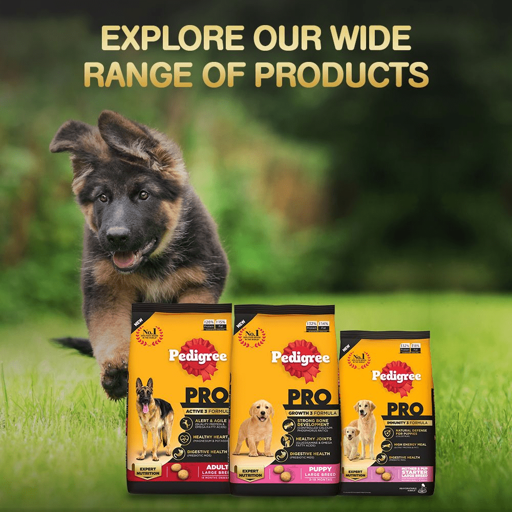 Pedigree PRO Expert Nutrition for Large Breed Puppy Dry and Chicken Chunks in Gravy Puppy Wet Food Combo