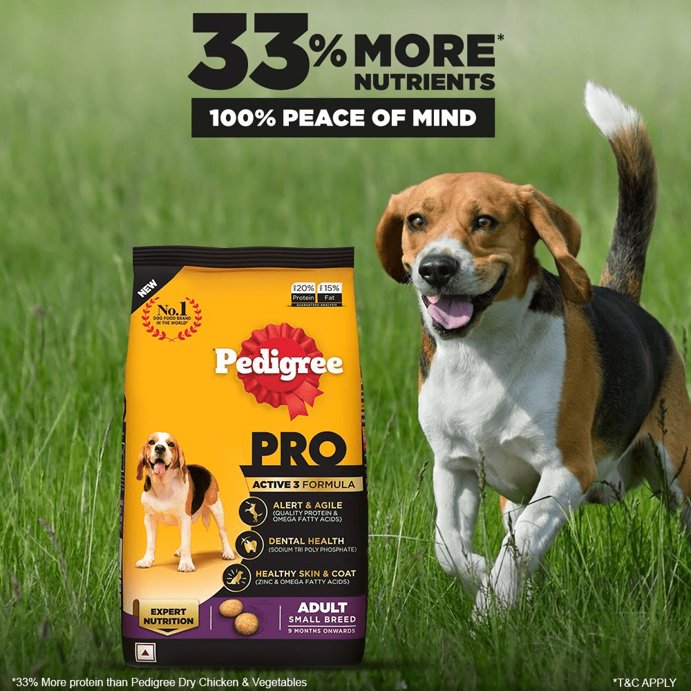 Pedigree PRO Expert Nutrition Dry Food for Small Breed and Chicken and Liver Chunks in Gravy Wet Adult Dog Food Combo