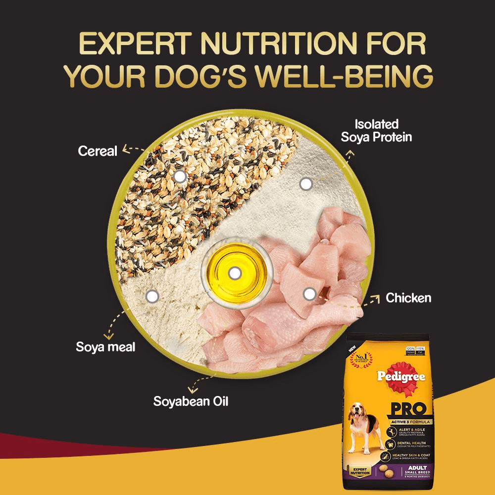 Pedigree PRO Expert Nutrition Dry Food for Small Breed and Chicken and Liver Chunks in Gravy Wet Adult Dog Food Combo