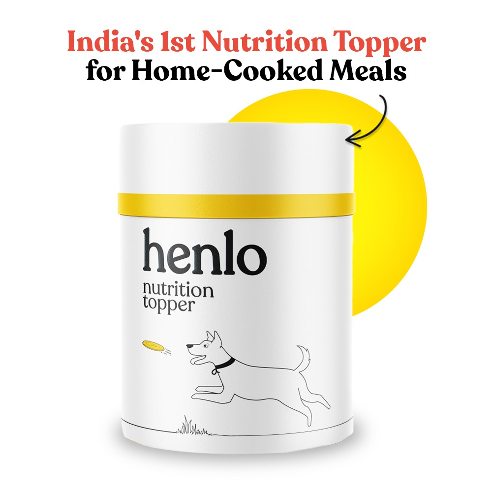 Henlo Everyday Topper for Home Cooked Food and Drools Absolute Salmon Oil Syrup Supplement for Dogs Combo