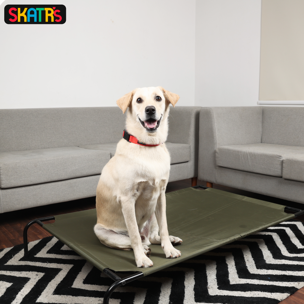 Skatrs Elevated Beds for Dogs & Cats (Green)