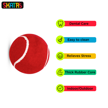 Skatrs Tennis Ball for Dogs and Ball Shaped Rope Chew Toy for Cats & Dogs Combo