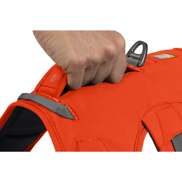 Ruffwear Webmaster Harness for Dogs (Blaze Orange)