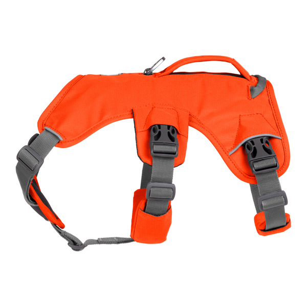 Ruffwear Webmaster Harness for Dogs (Blaze Orange)