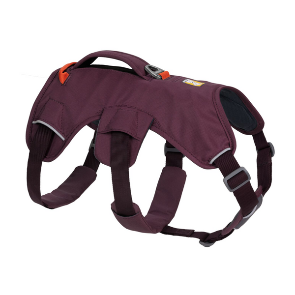 Ruffwear Webmaster Harness for Dogs (Purple Rain)