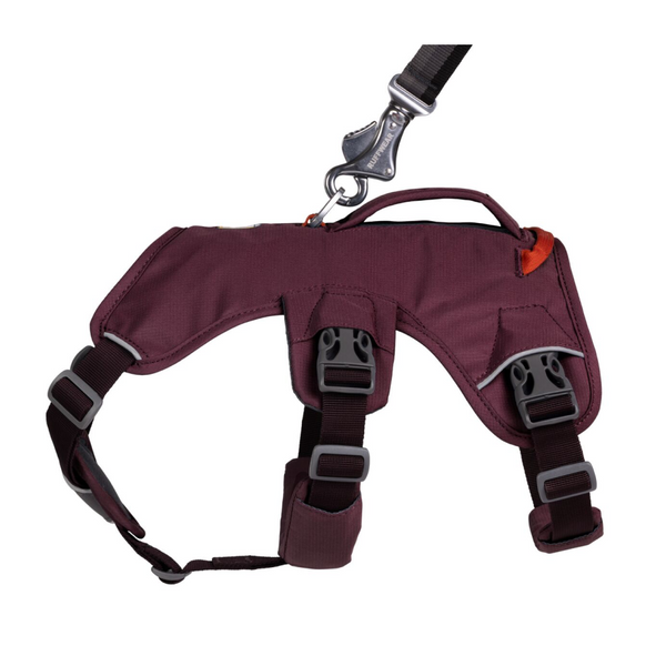 Ruffwear Webmaster Harness for Dogs (Purple Rain)