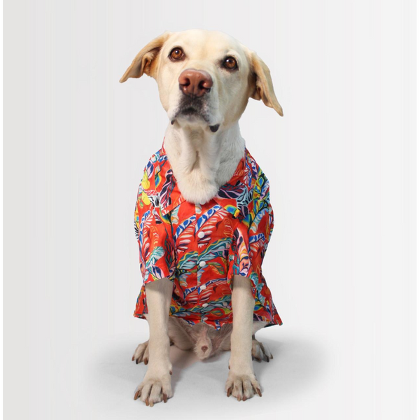 Dogobow Hawaii Printed Shirt for Dogs and Cats (Orange/Red) (Get a Bow Free)