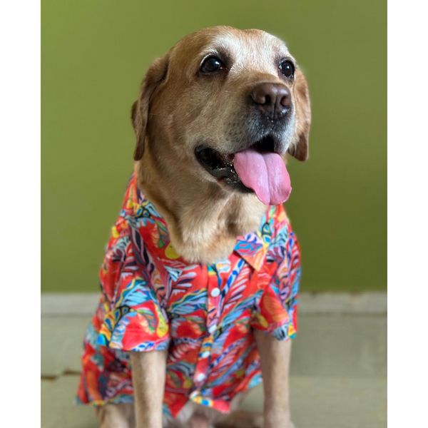 Dogobow Hawaii Printed Shirt for Dogs and Cats (Orange/Red) (Get a Bow Free)