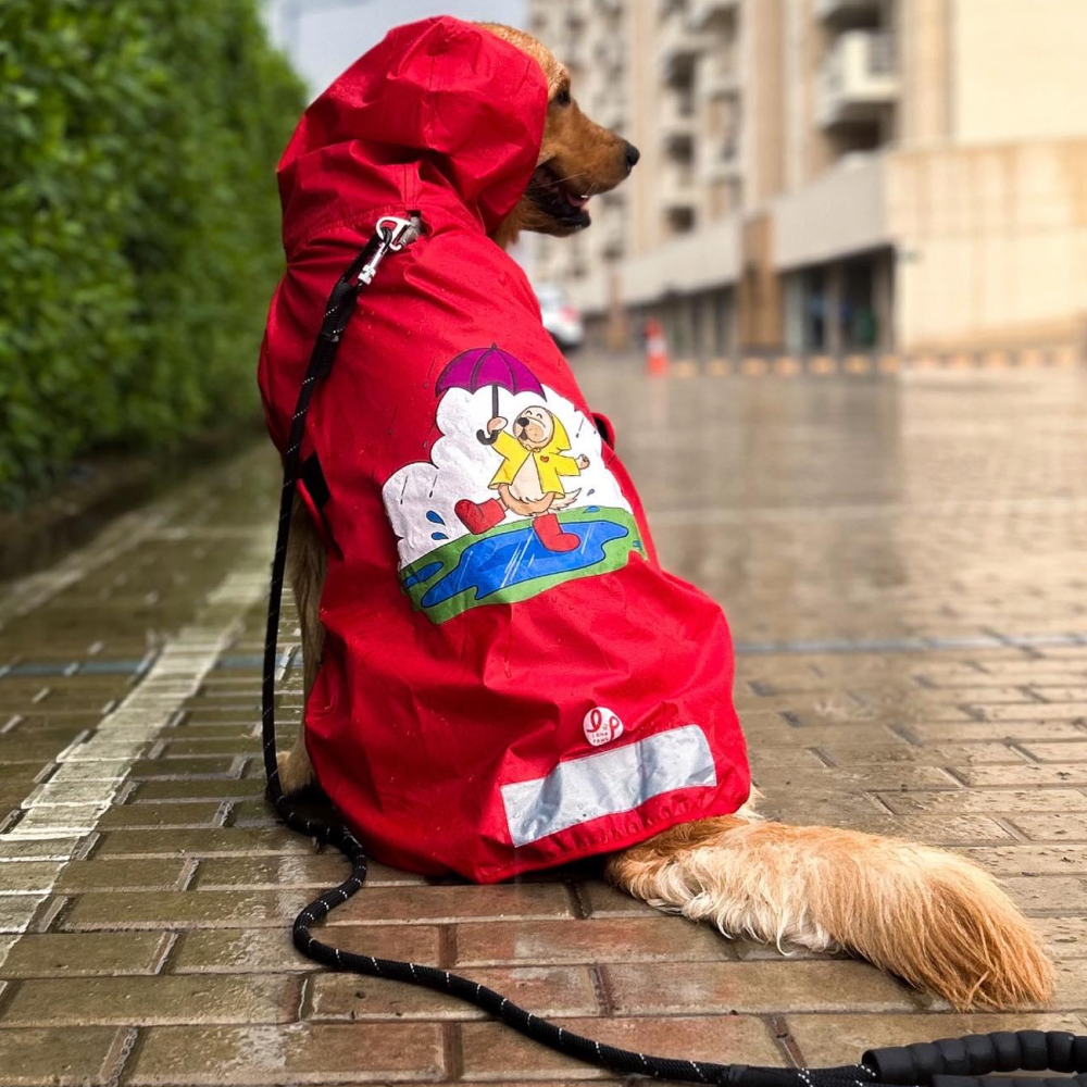 Just Wanna Have Fun Printed Raincoat for Dogs by Lana Paws (Red) Both-Clothing & Accessories Lana Paws XXL