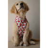 Pawgypets Daisy Melon Sando for Dogs (Pink)
