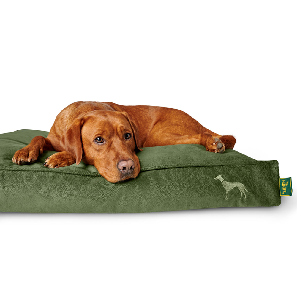 Hunter Orthopedic Merida Cushion for Dogs (Olive)