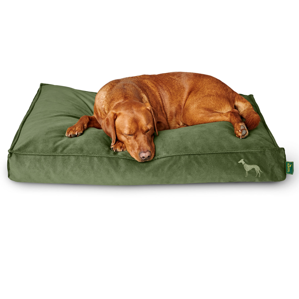 Hunter Orthopedic Merida Cushion for Dogs (Olive)