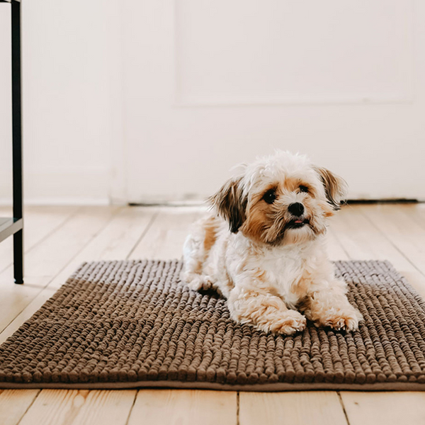 Hunter Waterloo Brush Mat for Dogs (Brown)