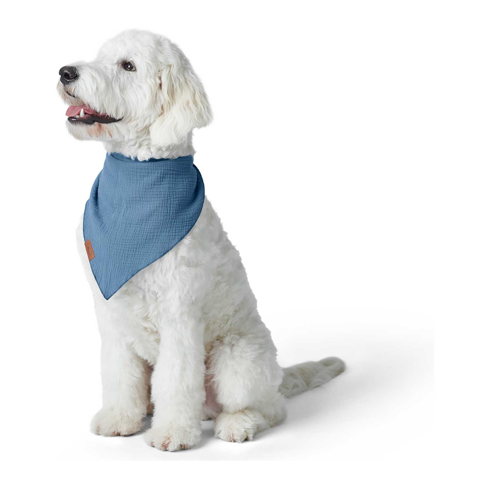 Hunter Nola Triangle Scarf for Dogs (Blue)