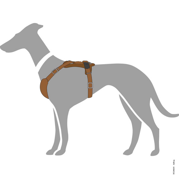 Hunter Aalborg Adjustable Leather Harness for Dogs (Cognac)