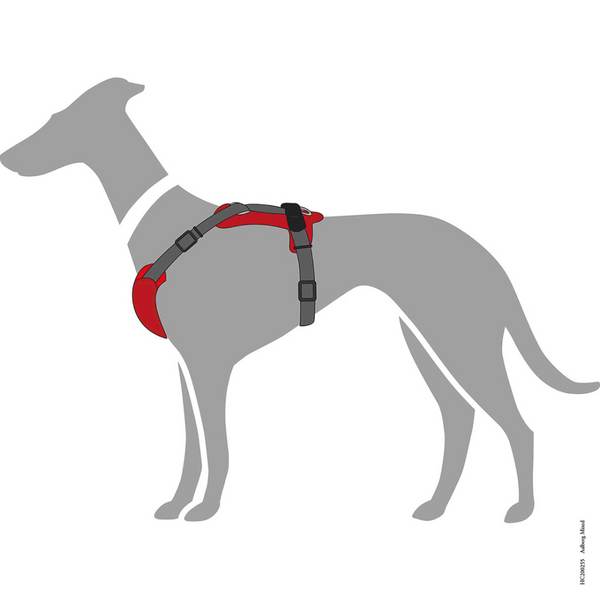 Hunter Aalborg Mixed Adjustable Harness for Dogs (Grey/Red)