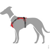 Hunter Divo Harness for Dogs (Red)