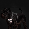 Hunter Divo Reflect Harness for Dogs (Red)