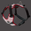 Hunter Divo Reflect Harness for Dogs (Red)