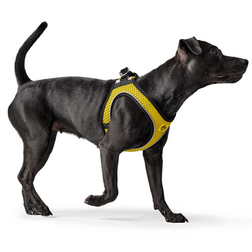 Hunter Hilo Comfort BVB Harness for Dogs (Yellow)