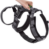 Hunter Maldon Safety Harness for Dogs (Black)