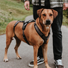 Hunter Maldon Safety Harness for Dogs (Black)