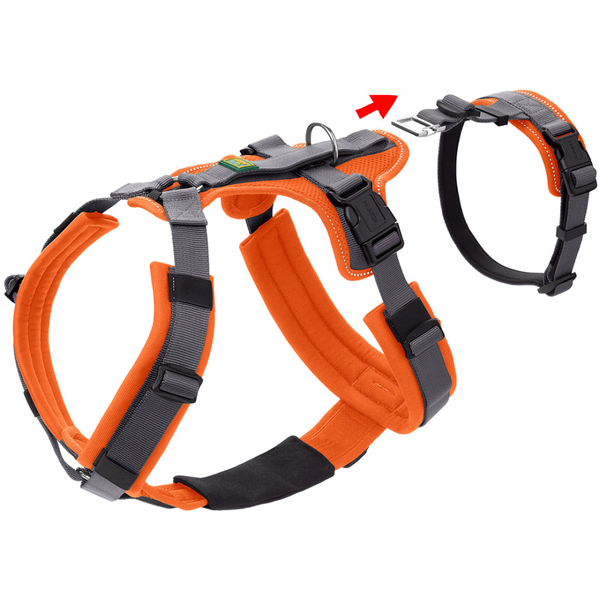 Hunter Maldon Safety Harness for Dogs (Orange)