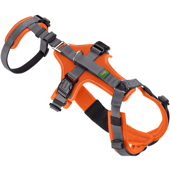 Hunter Maldon Safety Harness for Dogs (Orange)
