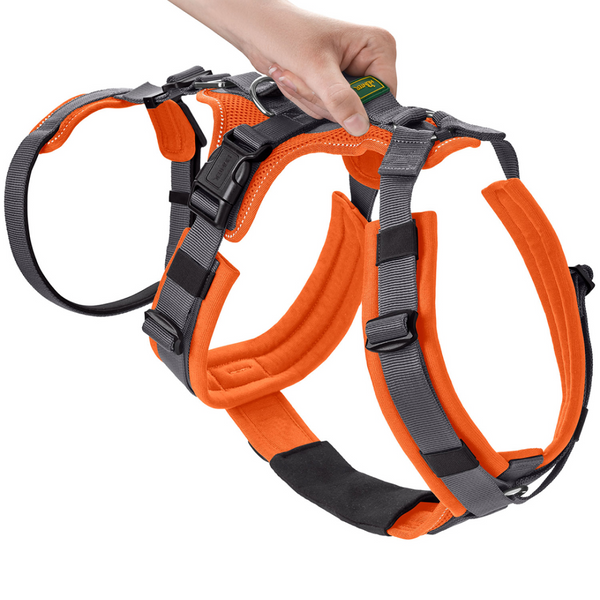 Hunter Maldon Safety Harness for Dogs (Orange)