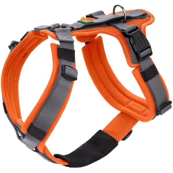 Hunter Maldon Safety Harness for Dogs (Orange)